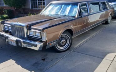 Lincoln-town-car-signature-1981-brown-3