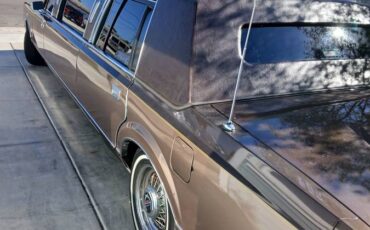 Lincoln-town-car-signature-1981-brown-4