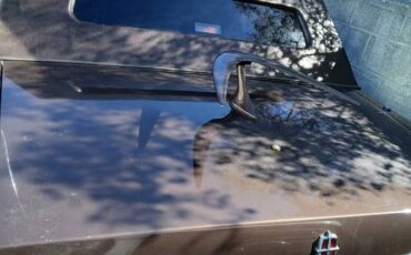 Lincoln-town-car-signature-1981-brown-5