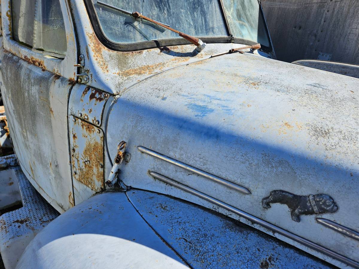 Mack-b-60-1956-grey-10