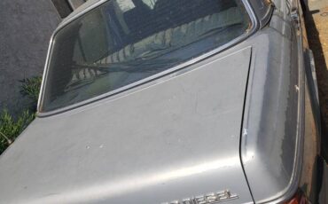 Mercedes-300d-diesel-1982-blue-2