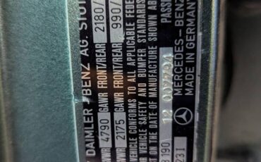 Mercedes-300td-diesel-1979-green-7