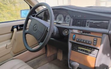 Mercedes-benz-190d-diesel-1989-brown-6