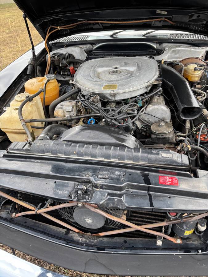 Mercedes-benz-1982-black-11