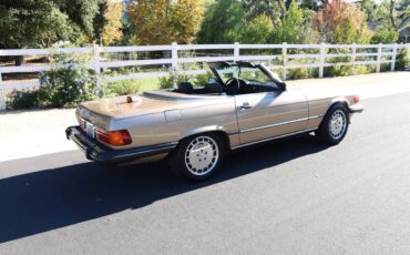 Mercedes-benz-1986-12