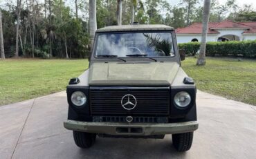 Mercedes-benz-230ge-1990-green-5