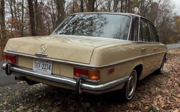 Mercedes-benz-280-se-1973-brown-1