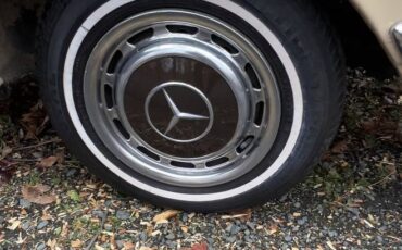 Mercedes-benz-280-se-1973-brown-11