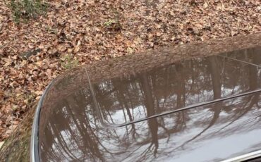 Mercedes-benz-280-se-1973-brown-12