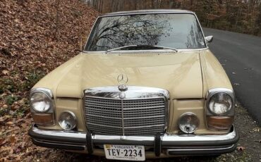Mercedes-benz-280-se-1973-brown-3
