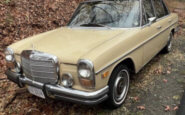 Mercedes-benz-280-se-1973-brown