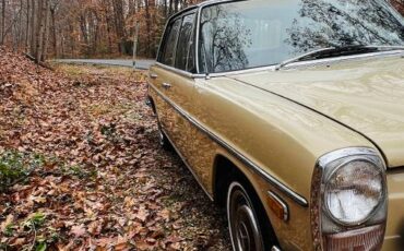 Mercedes-benz-280-se-1973-brown-4