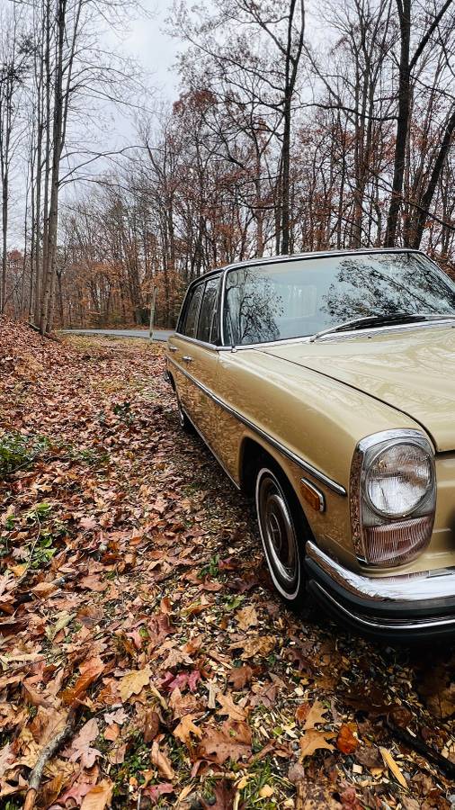 Mercedes-benz-280-se-1973-brown-4