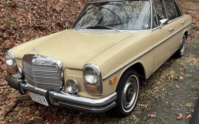 Mercedes-benz 280 se 1973