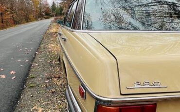 Mercedes-benz-280-se-1973-brown-5