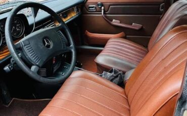 Mercedes-benz-280-se-1973-brown-8