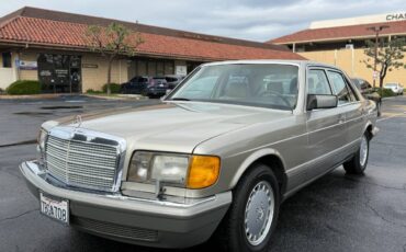 Mercedes-benz-300-1989-brown-1