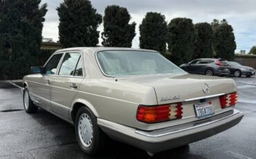 Mercedes-benz-300-1989-brown-3