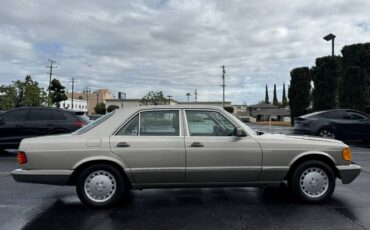 Mercedes-benz-300-1989-brown-5