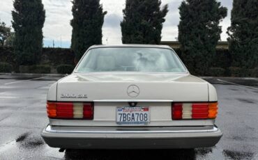 Mercedes-benz-300-1989-brown-7