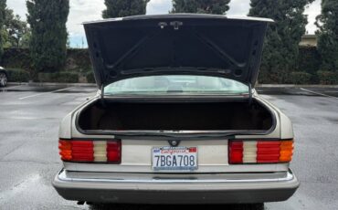 Mercedes-benz-300-1989-brown-8