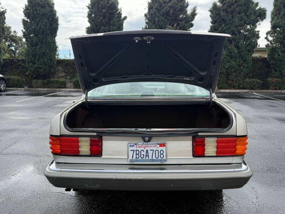 Mercedes-benz-300-1989-brown-8