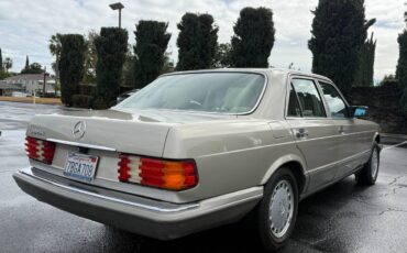 Mercedes-benz-300-1989-brown-9