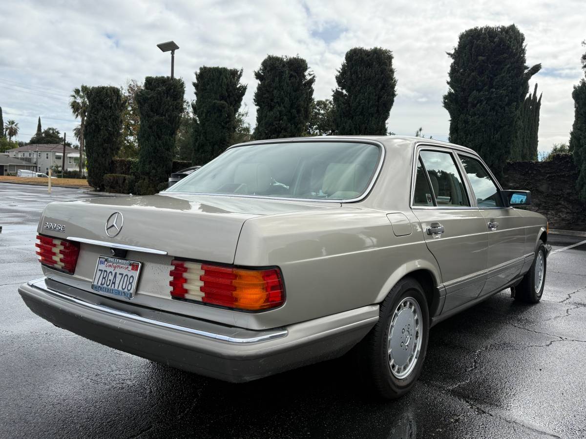 Mercedes-benz-300-1989-brown-9