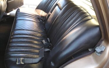 Mercedes-benz-300-sel-6.3-1969-brown-4