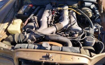 Mercedes-benz-300-sel-6.3-1969-brown-7