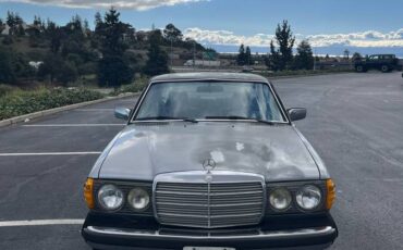 Mercedes-benz-300cd-diesel-1978-blue-1