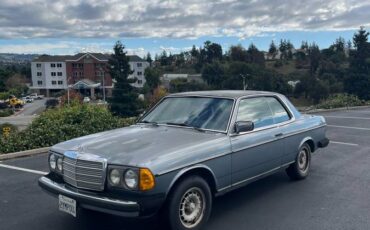 Mercedes-benz-300cd-diesel-1978-blue