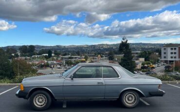 Mercedes-benz-300cd-diesel-1978-blue-4