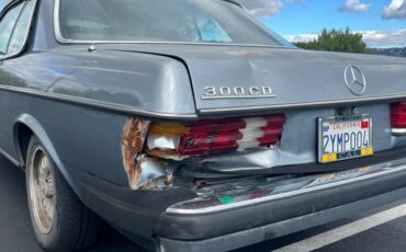 Mercedes-benz-300cd-diesel-1978-blue-6