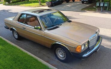 Mercedes-benz-300cd-turbodiesel-coupe-1985-brown-6
