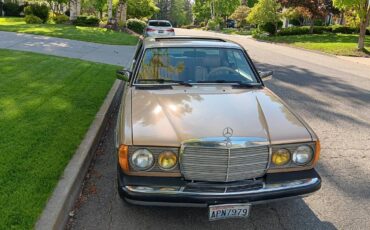 Mercedes-benz-300cd-turbodiesel-coupe-1985-brown-8