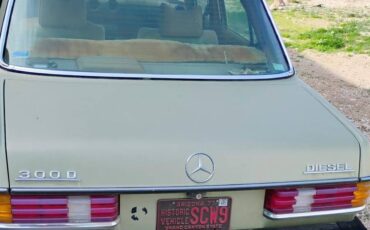 Mercedes-benz-300d-diesel-1977-green-2