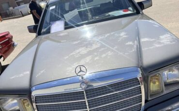 Mercedes-benz-380-sel-1983-grey