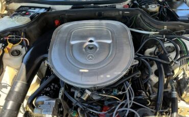 Mercedes-benz-420-class-1987-yellow-246