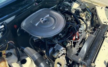 Mercedes-benz-420-class-1987-yellow-34