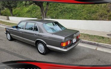 Mercedes-benz-420-sel-1991-grey-3