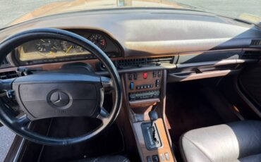 Mercedes-benz-420sel-1990-brown-10