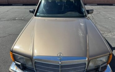 Mercedes-benz-420sel-1990-brown-3