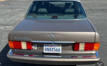 Mercedes-benz-420sel-1990-brown-5