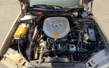 Mercedes-benz-420sel-1990-brown-6