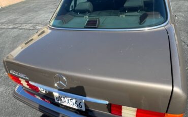 Mercedes-benz-420sel-1990-brown-7