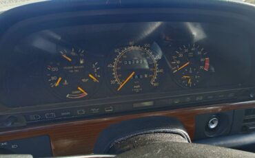 Mercedes-benz-420sel-1991-white-14