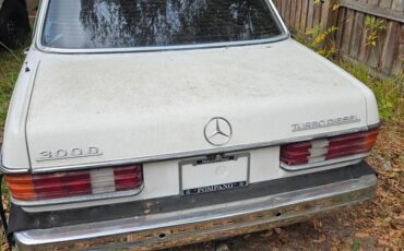 Mercedes-benz-diesel-1985-5