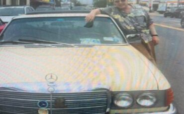 Mercedes-benz-s-class-1977-yellow-2