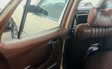 Mercedes-benz-s-class-1977-yellow-3